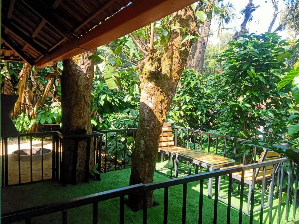 The Mountain Shades Resort Мадикери Экстерьер фото